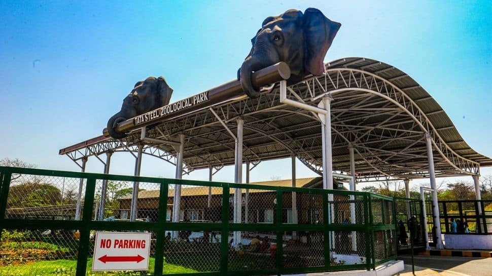 Tata Steel Zoological Park – Jamshedpur Tata Steel Zoological Park – Jamshedpur