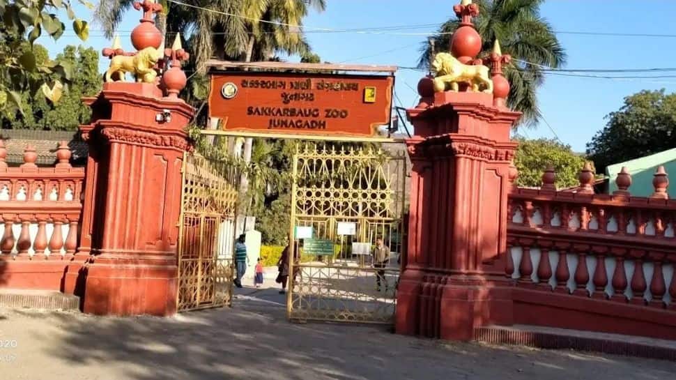 Sakkarbaug Zoological Garden – Junagadh Sakkarbaug Zoological Garden – Junagadh