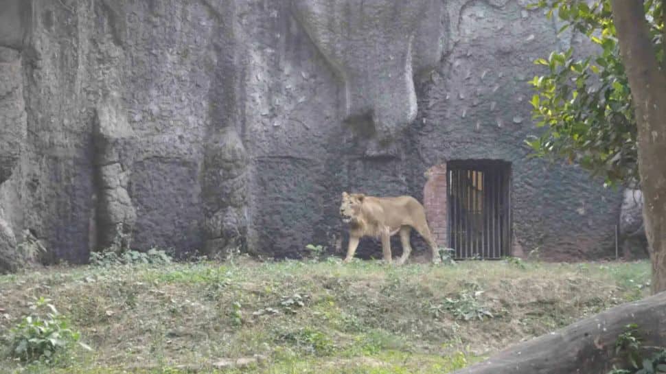 Alipore Zoological Gardens – Kolkata Alipore Zoological Gardens – Kolkata