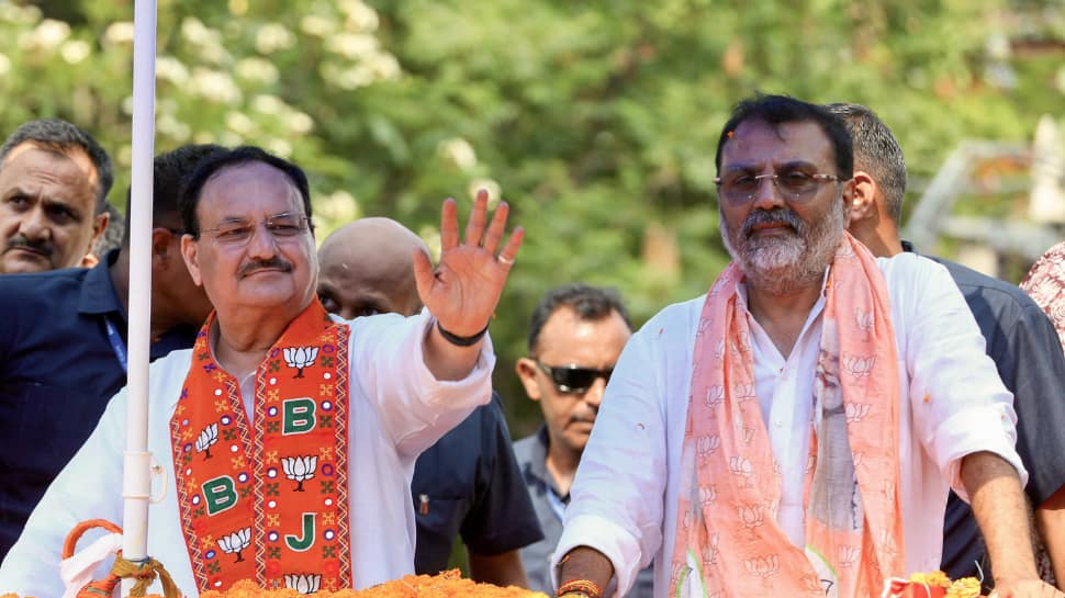 'Neither Agrees, Nor Supports': BJP 'Completely Rejects' MP Nishikant Dubey's Remarks On Supreme Court