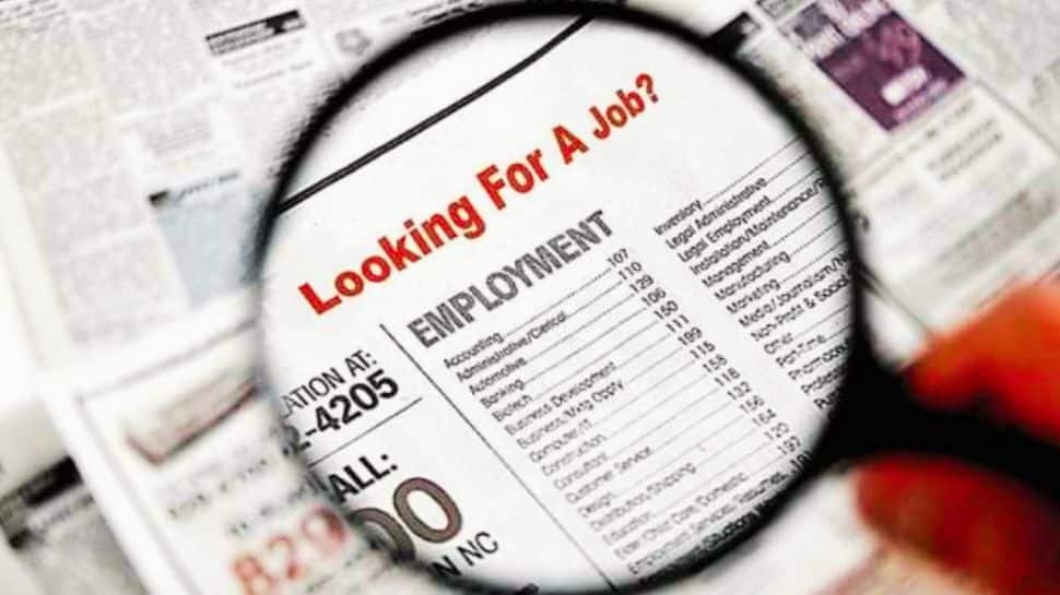 IBPS Recruitment 2025 For Professors And Data Analysts Begins At ibps.in- Check Eligibility Criteria, Steps To Apply Here IBPS Recruitment 2025 For Professors And Data Analysts Begins At ibps.in- Check Eligibility Criteria, Steps To Apply Here