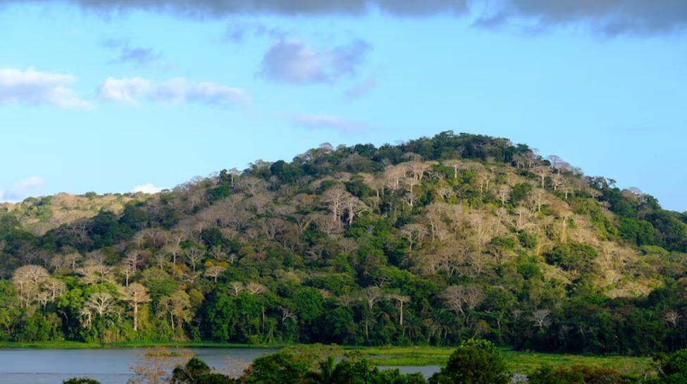 Papua New Guinea Papua New Guinea
