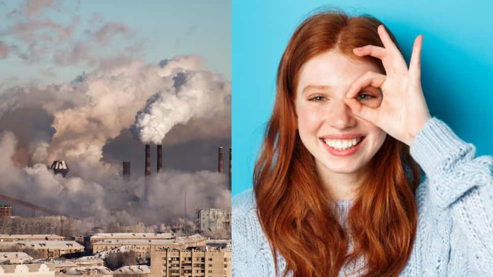 How Pollution And Heatwaves Are Harming Your Eye Health? Expert Shares Safety Tips And Precautions | Health News How Pollution And Heatwaves Are Harming Your Eye Health? Expert Shares Safety Tips And Precautions | Health News