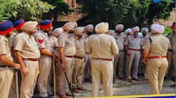 Punjab Police Admit Card 2025 Out At punjabpolice.gov.in- Check More Details 