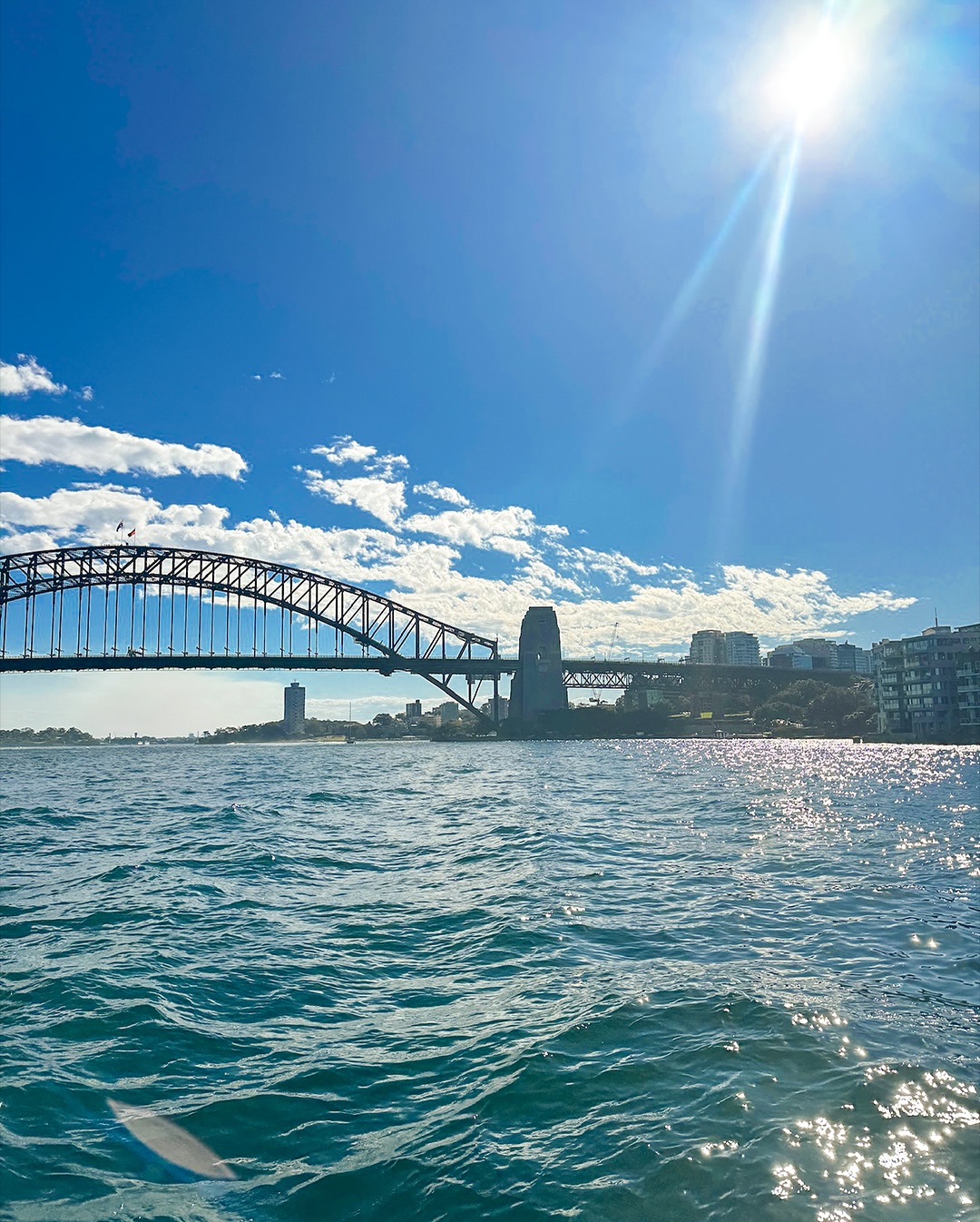 3. Cruising Through Sydney’s Waters in Style