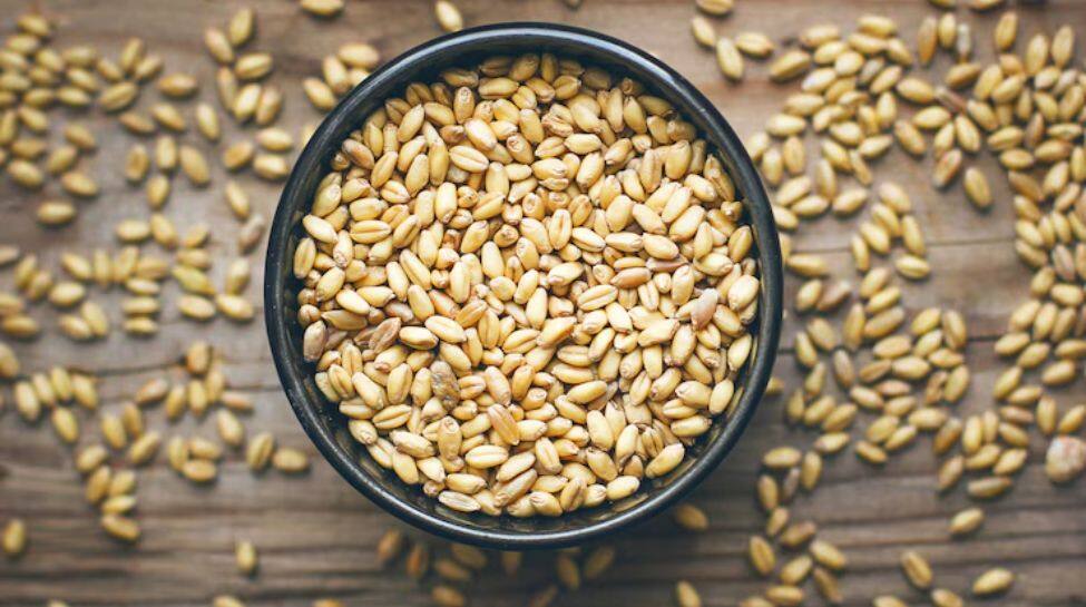 Barley
