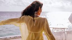 Meet Actress Whose Debut With Hrithik Roshan Flopped, But Became Hit In South
