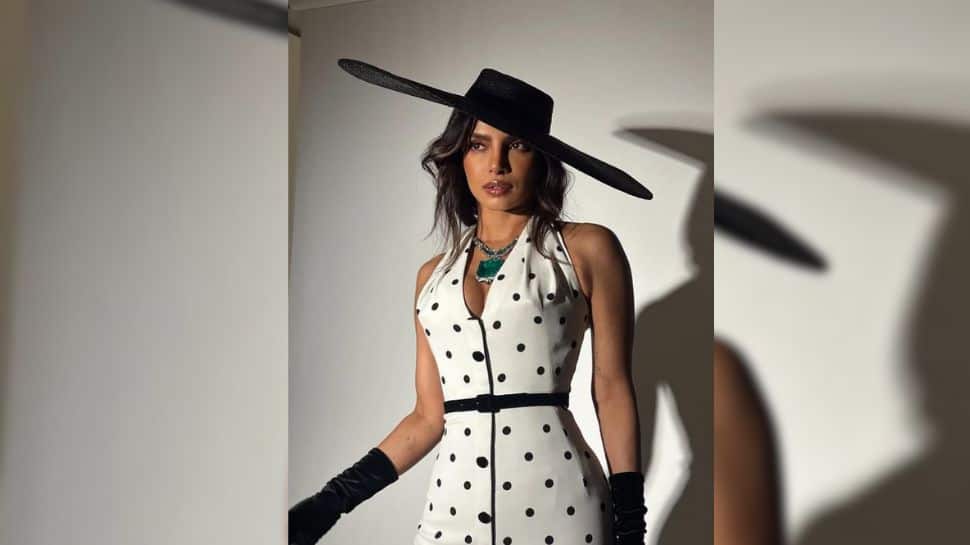 Rhea Kapoor Reacts To Priyanka Chopra’s Stunning Met Gala 2025 Look