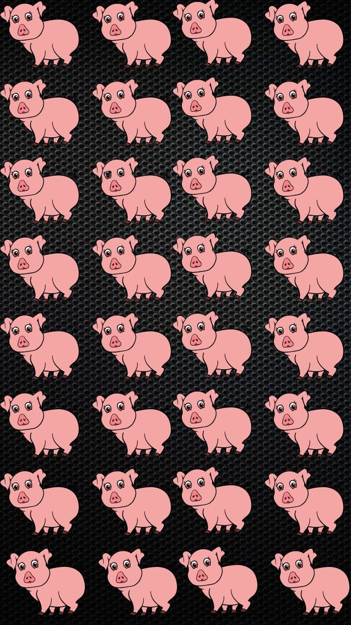 Optical Illusion: Spot The Odd Pig Out In The Lineup
