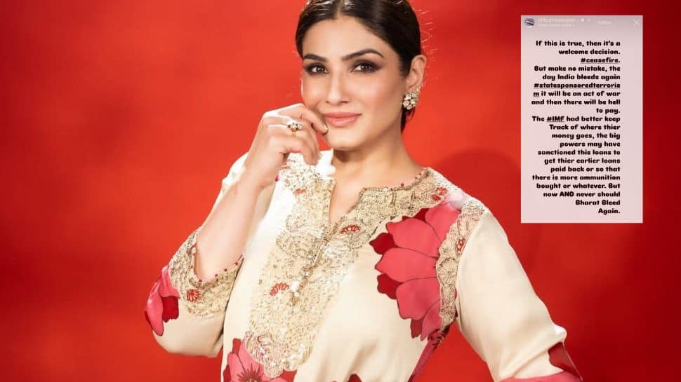 'My Country’s Enemy Is Mine': Raveena Tandon Reacts To India-Pakistan Ceasefire Announcement
