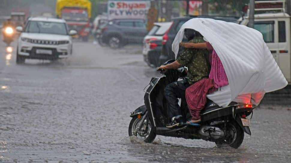 Climate Replace: IMD Points Yellow Alert For Heavy Rainfall And Heatwave Throughout India Climate Replace: IMD Points Yellow Alert For Heavy Rainfall And Heatwave Throughout India