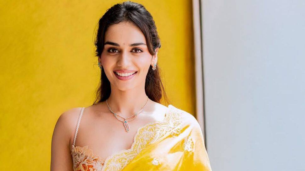 Manushi Chhillar