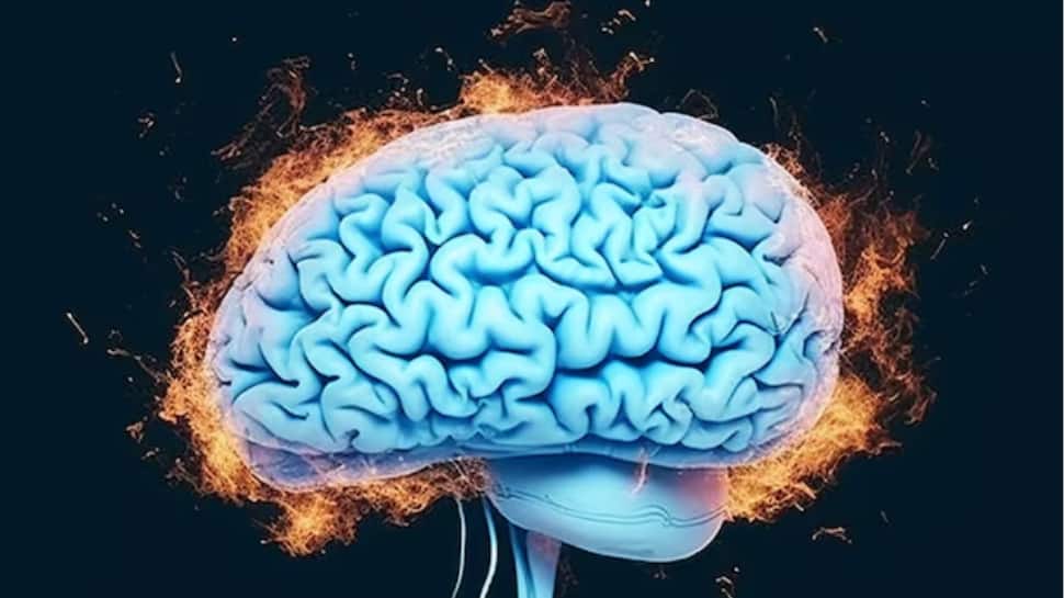 Scientists Discover Molecule That Blocks Cell Death, Offering New Hope For Parkinson’s And Alzheimer’s Treatment