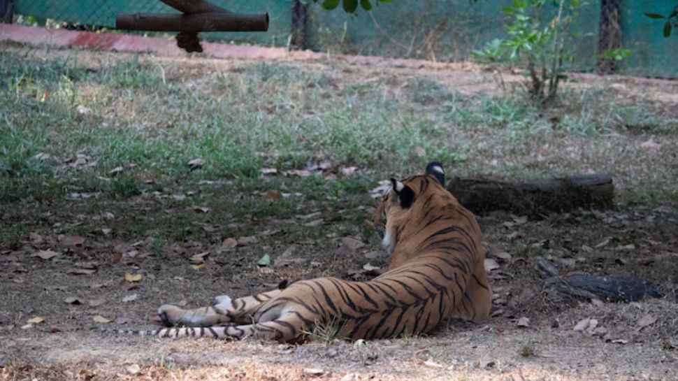 Bannerghatta Biological Park, Karnataka