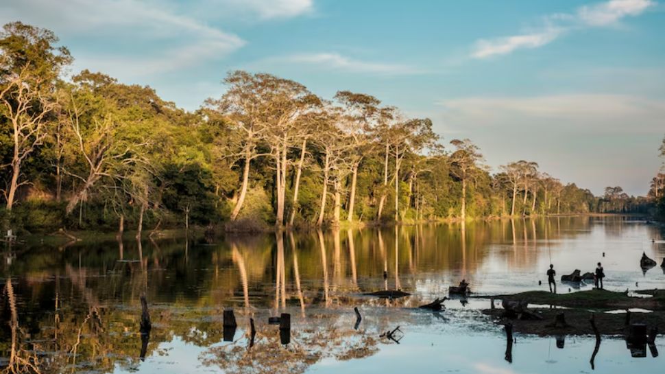 Sunderbans National Park, West Bengal