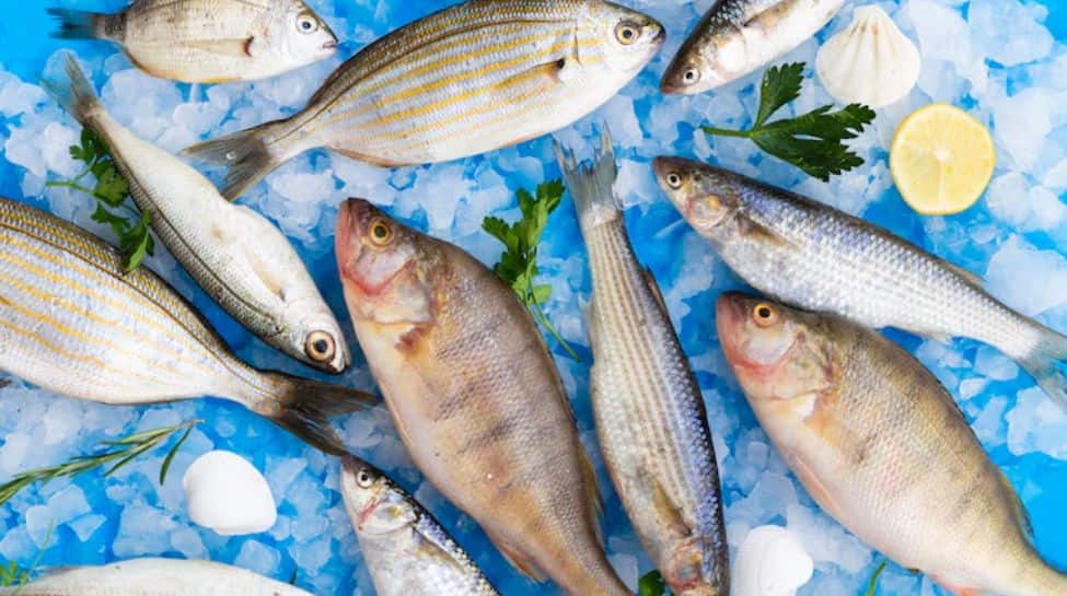 Icefish