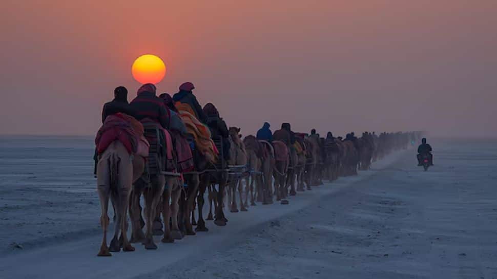 Great Rann of Kutch, Gujarat