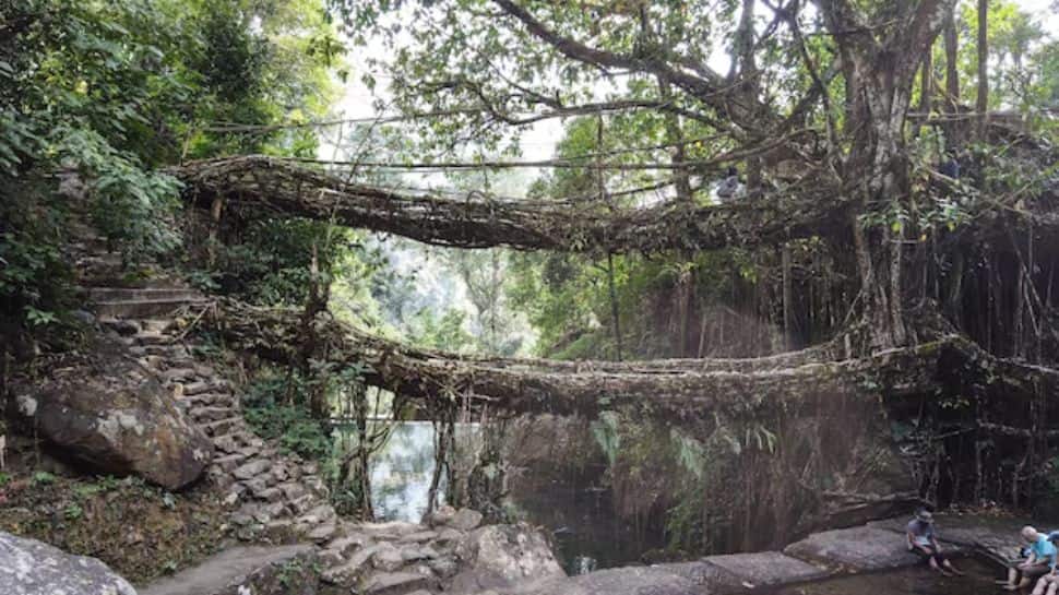 Living Root Bridges, Meghalaya