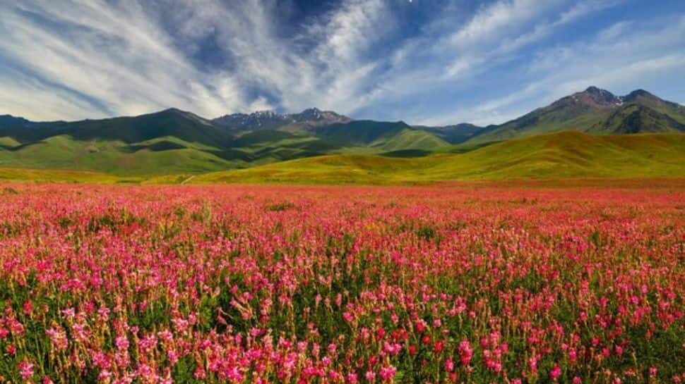 Valley of Flowers, Uttarakhand