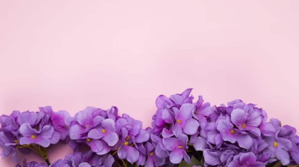 9. Violet