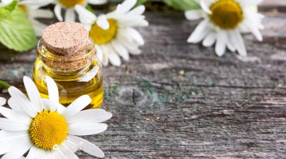 8. Chamomile
