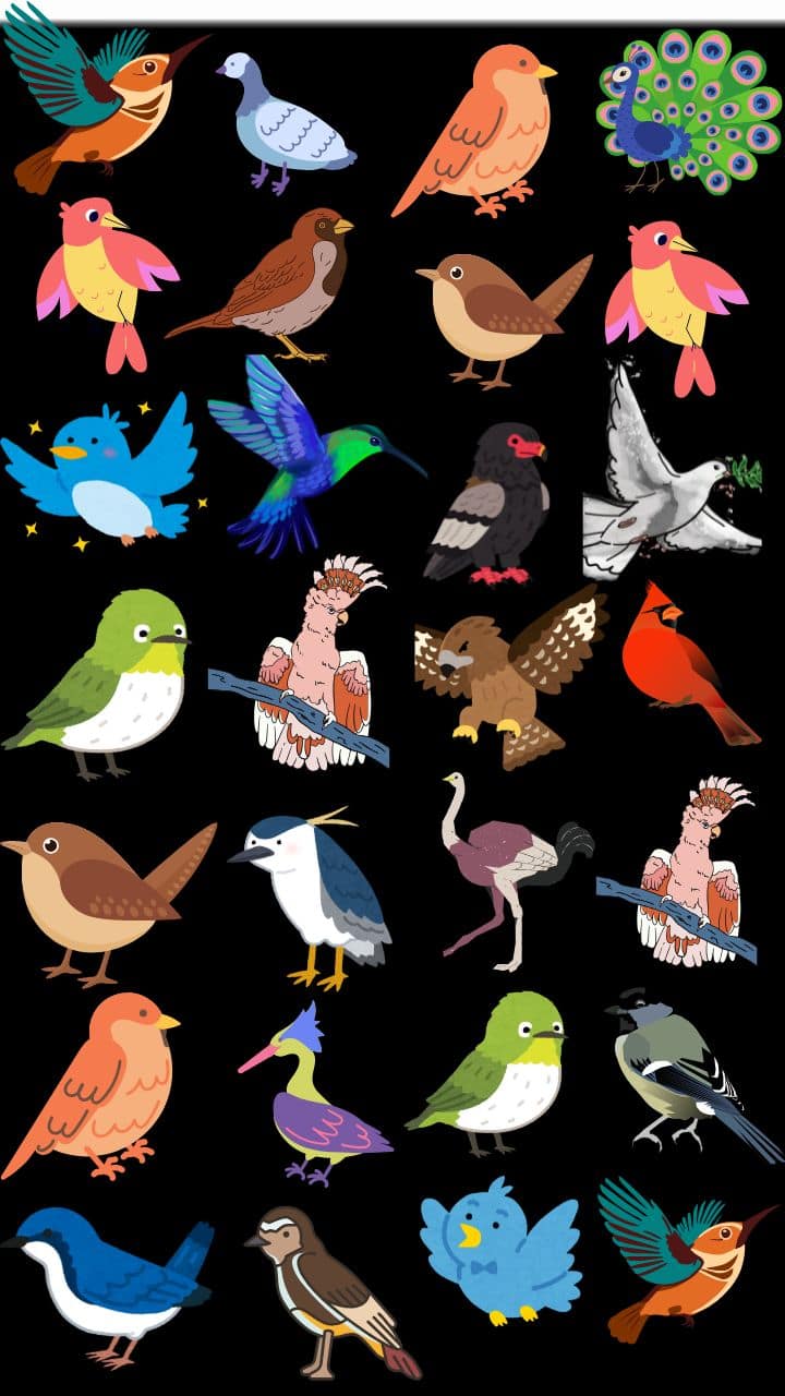 Optical Illusion Challenge: Spot The Bird That Can’t Fly