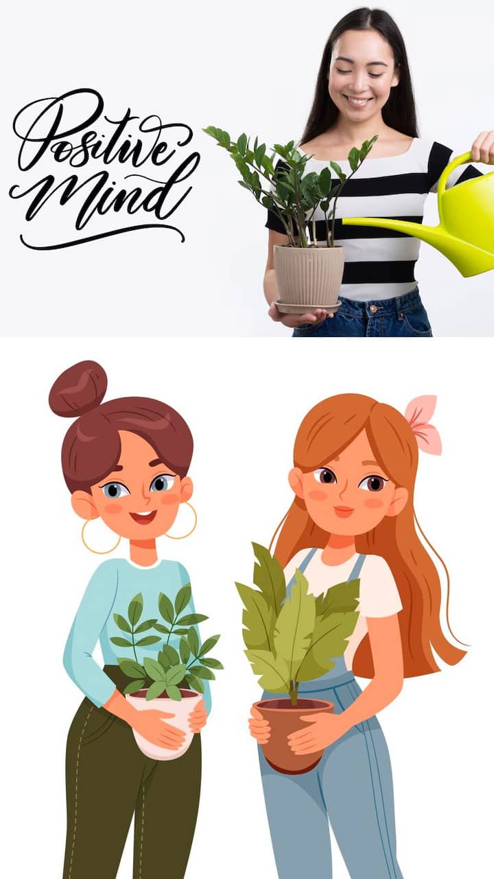 8 Plants You Can Keep At Home For Good Luck And Positive Vibe