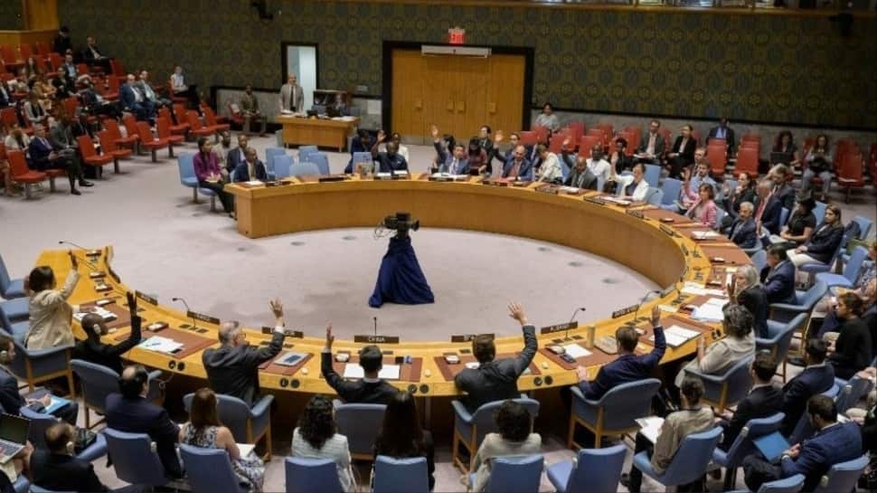 In Absurd Act, Pakistan Brings Up Indus River Issue At UNSC Amid Maritime Security Debate In Absurd Act, Pakistan Brings Up Indus River Issue At UNSC Amid Maritime Security Debate