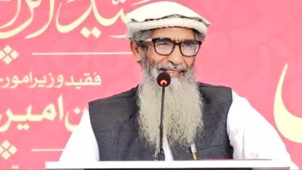 Amir Hamza는 누구입니까? 핵심 인물 허용, 오른쪽에 Hafiz Saeeds Man