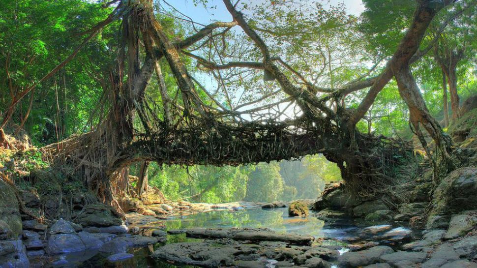 Mawlynnong, Meghalaya