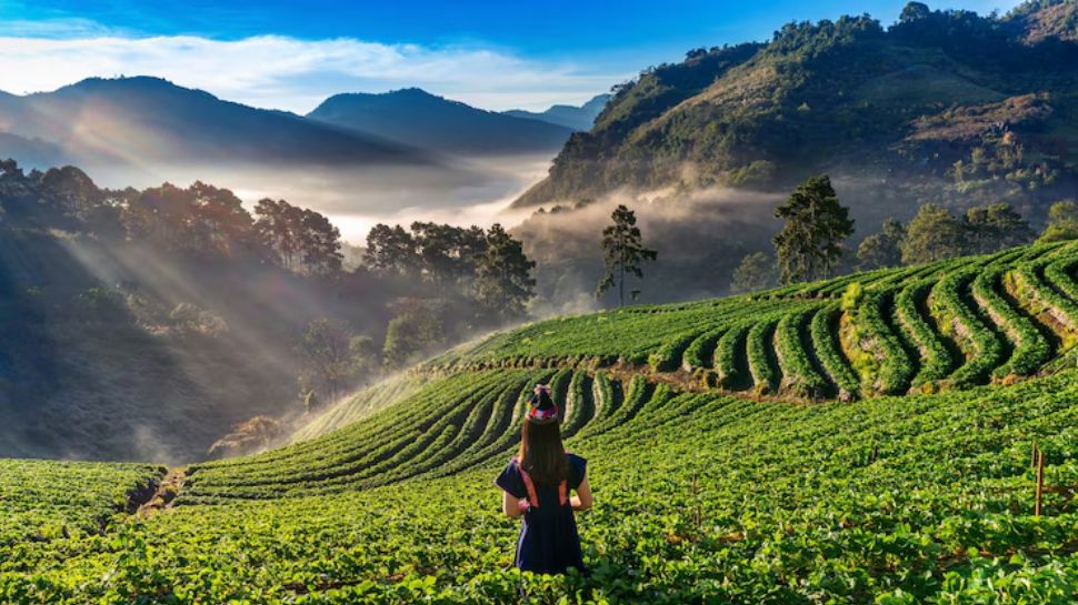 Kalimpong, West Bengal