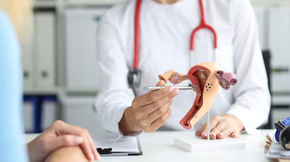 Exclusive: Women Dealing With High BMI Can Be At Increased Risk Of Ovarian Cancer The Silent Killer