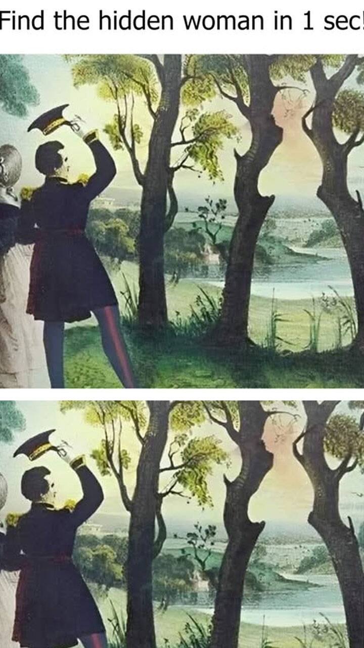 Optical Illusion: You Are A Genius, If You Spot A Woman In 1 Sec!