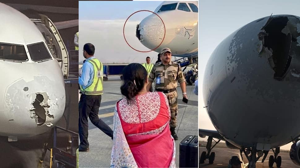 Screams, Fear : 전단지 공유 Sringar Flight와 함께 두려운 비디오를 공유합니다 -Delhi Indigo는 주요 난기류에 잡힌다 – Watch