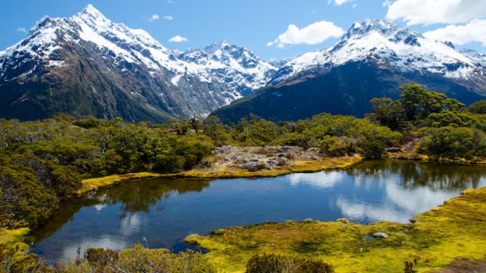 New Zealand