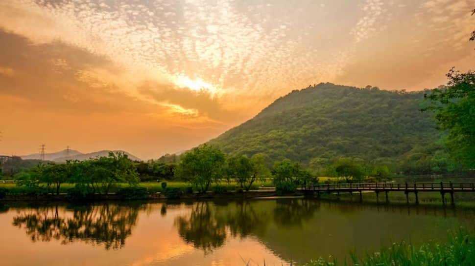 Kerala (God's Own Country)