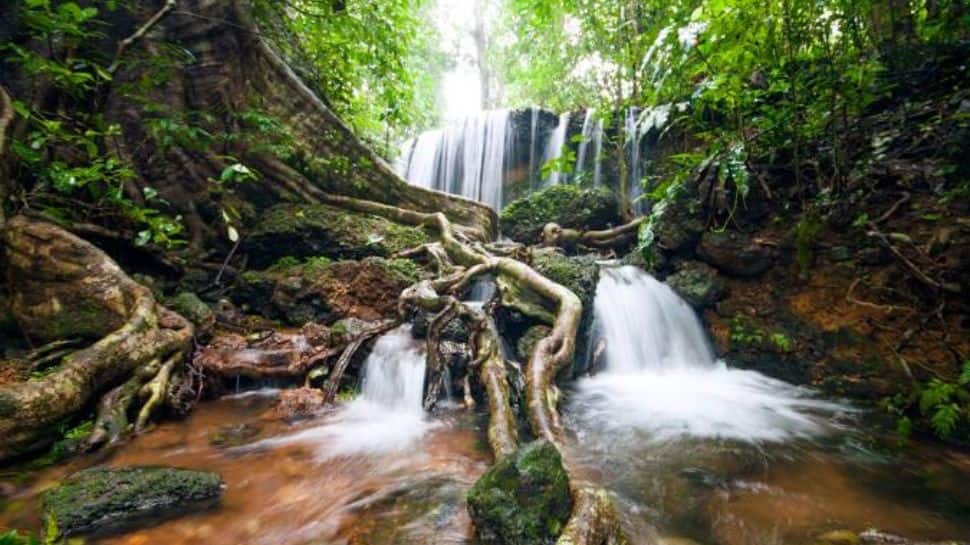 Agumbe, Karnataka