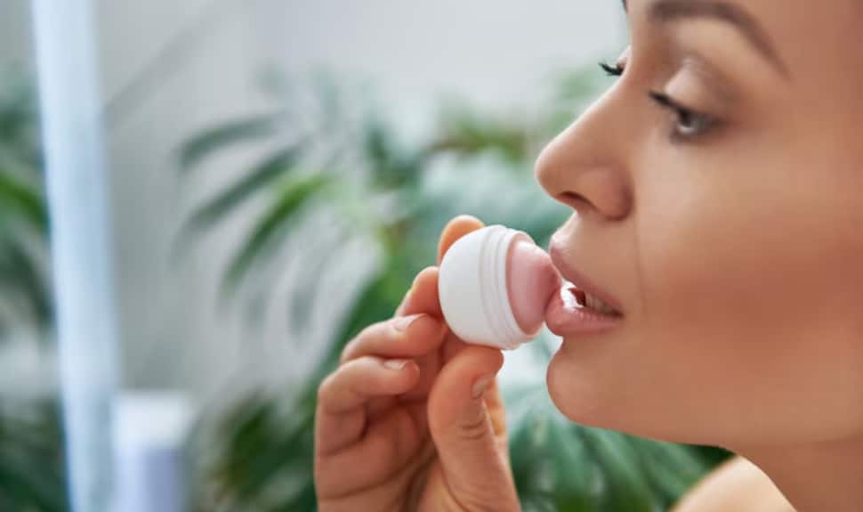 Lush Lips, Anytime! Top Tinted &amp; Hydrating Lip Balms to Try Now