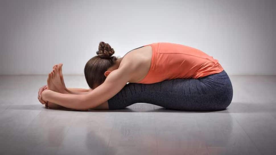 Seated Forward Bend (Paschimottanasana)