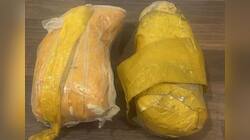 BSF Seize Pakistani Drone With Rs 5 Crore Heroin In Rajasthan's Sri Ganganagar