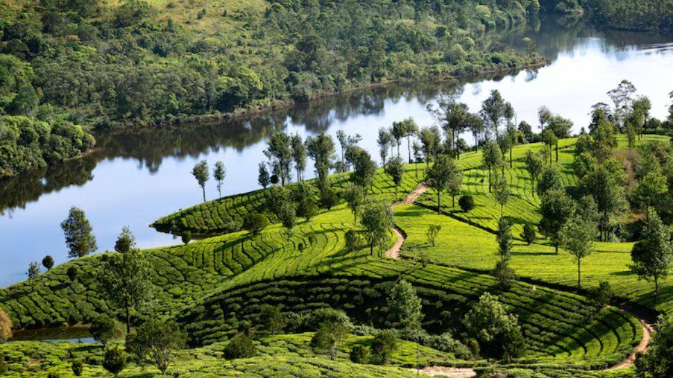 Munnar's Offbeat Trails, Kerala 