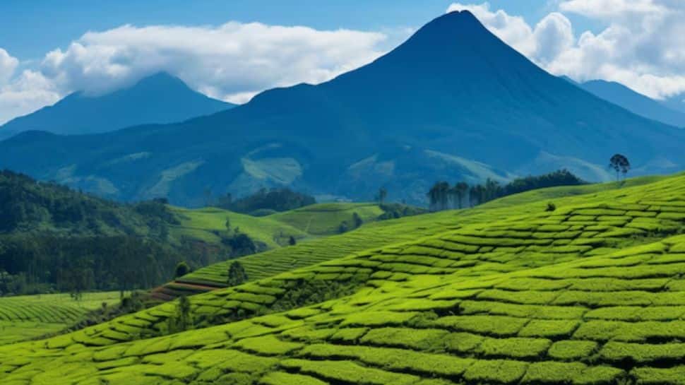 Wayanad, Kerala