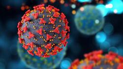 Precautionary Measures Indians Should Take Amid Rising COVID 19 Cases