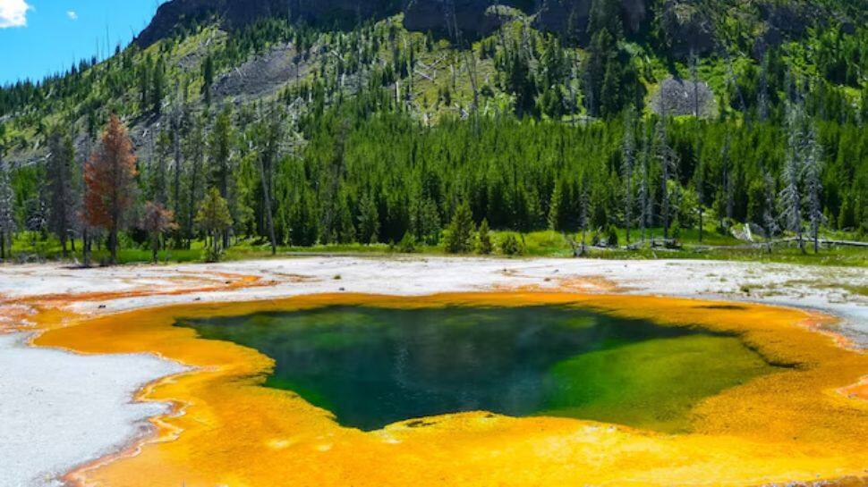 Yellowstone National Park, USA