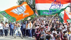 Delhi Polls 2025: BJP's Financial Muscle Gives An Edge, But Cong Narrows Gap