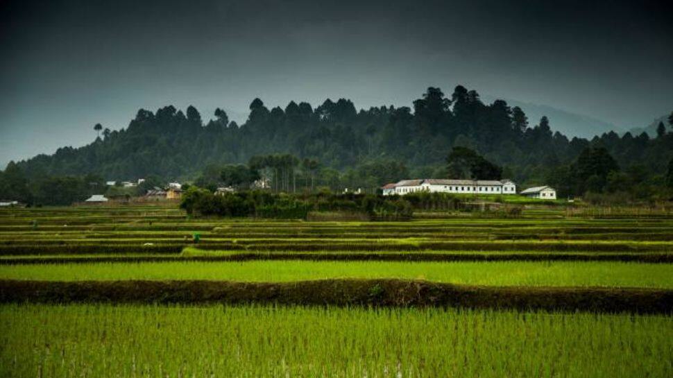 Ziro Valley, Arunachal Pradesh