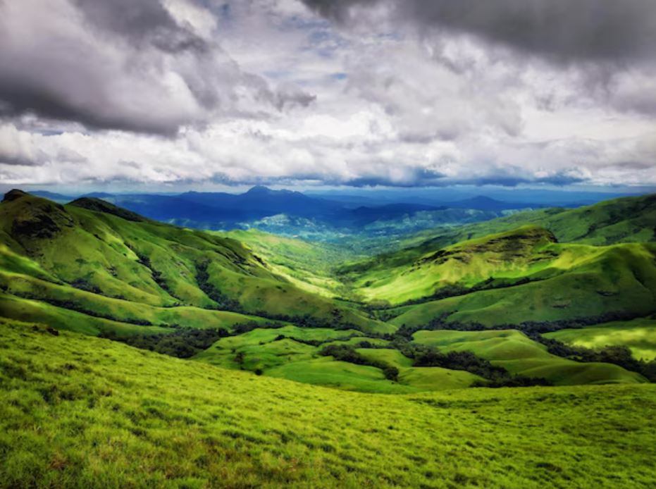 Chikmagalur, Karnataka – Coffee, Mist, and Endless Green