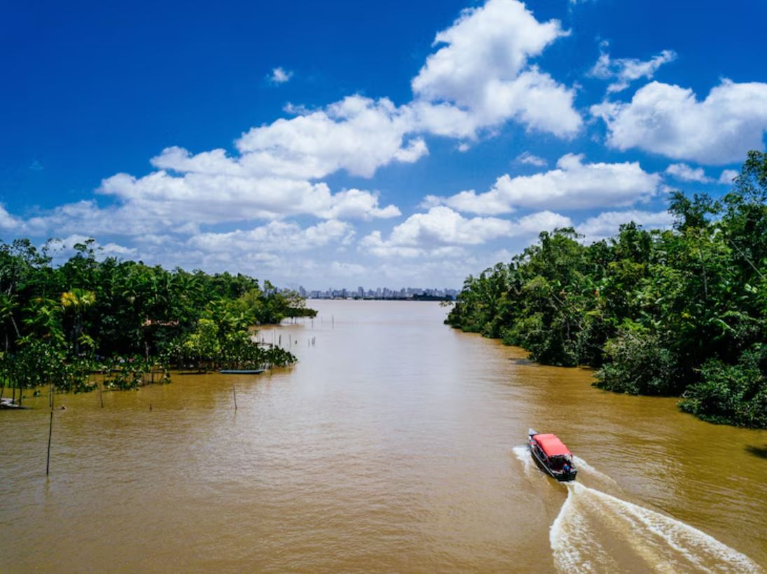 Alleppey, Kerala – Backwaters in Their Monsoon Glory