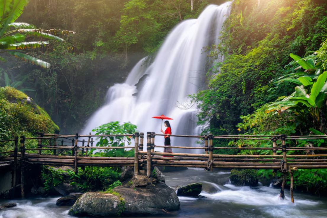 Wayanad, Kerala – Waterfalls, Caves, and Rain-Washed Forests