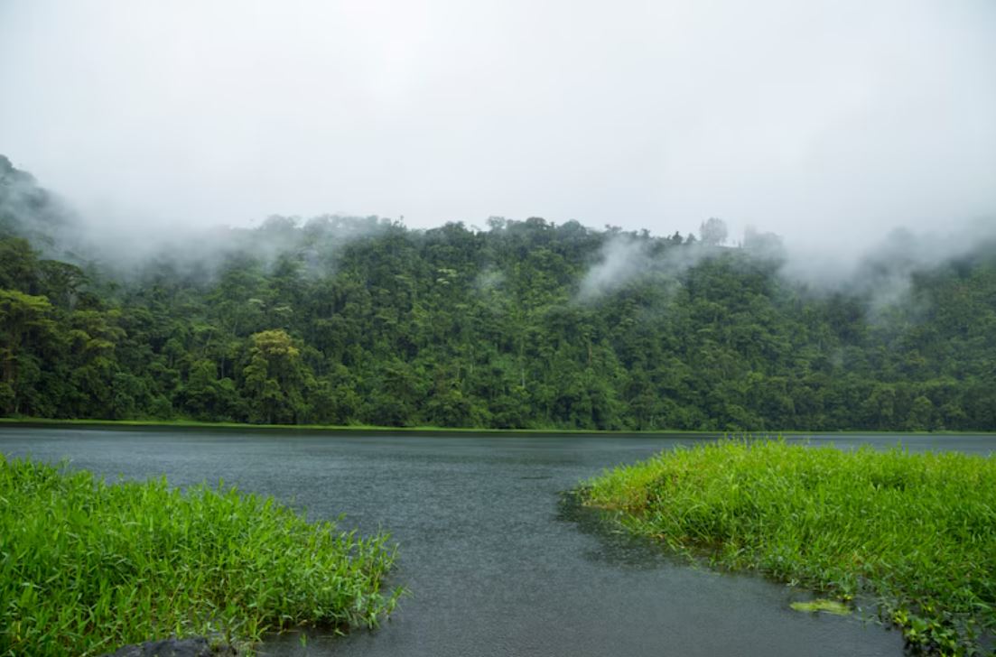 Munnar, Kerala – Tea Gardens Drenched in Romance